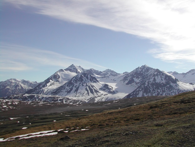 Alpine tundra of the Haines summit in early summer